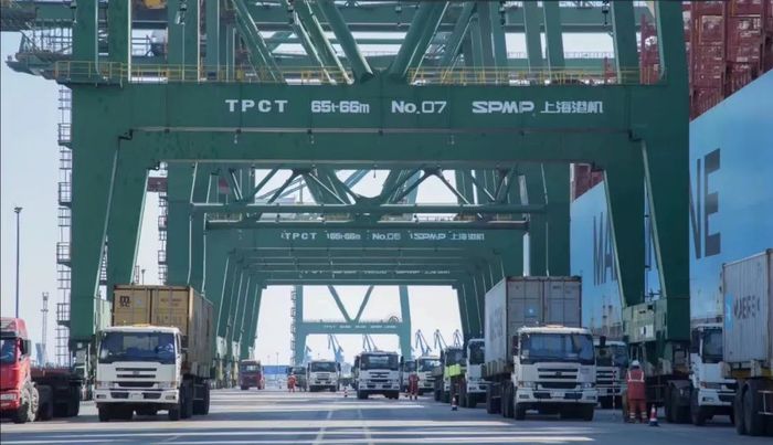 猫砂进口报关代理，上海港报关代理进口猫砂服务