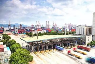 上海港进口猫砂报关代理流程，猫砂进口报关申报手续