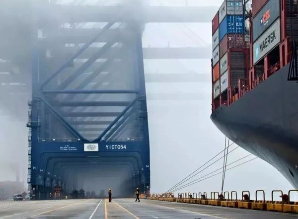 进口日本食品清关代理|日本食品进口报关公司，上海港食品报关行