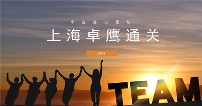 進口抗皺精華清關要求/保稅區(qū)進出口申報/經(jīng)驗豐富通關無憂