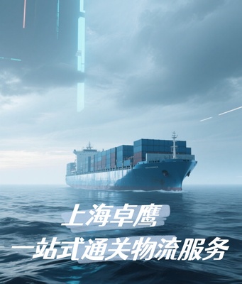 进口交换机清关总被细节拖慢？上海卓鹰/雅盈供应链全流程代理实操